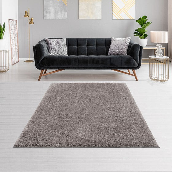 Camdyn Super Soft Polyester Shag Area Rug 6x9' Grey