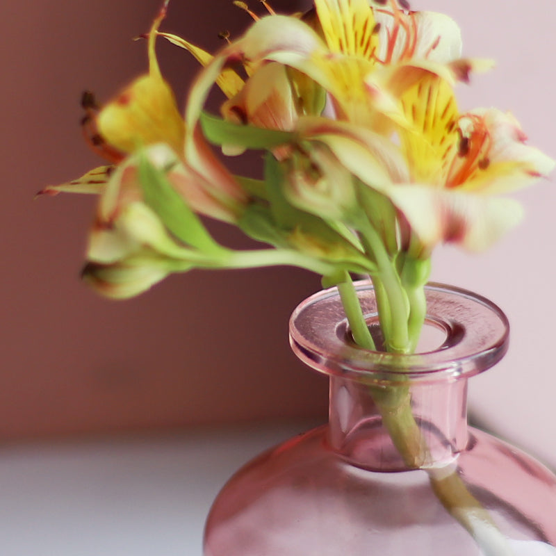 Colorful Glass Bud Vases