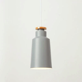 Colorful Metal & Wood Pendant Lights