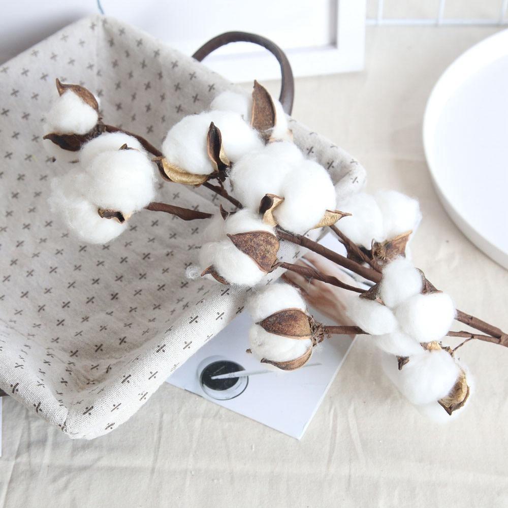 Cotton Branches