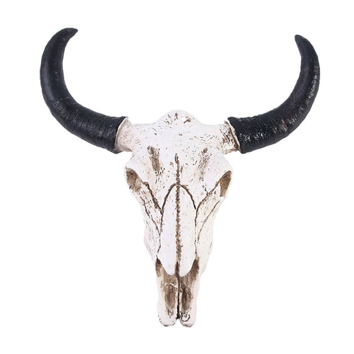 Animal Skull Wall Decor Cow