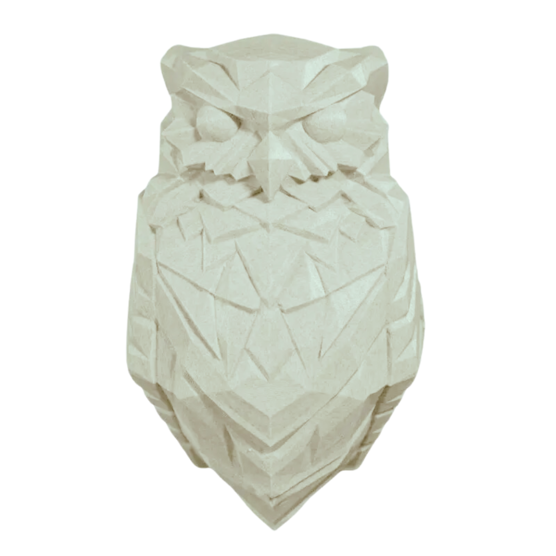 Majestic Eagle - Luminous Atmosphere Light Owl