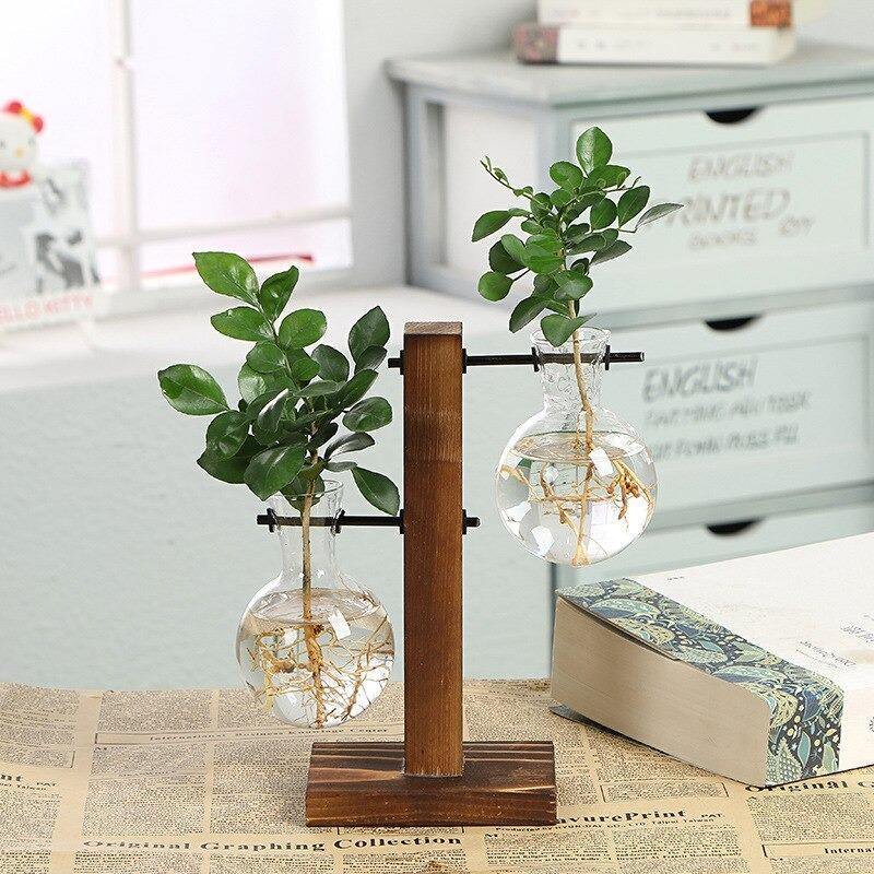 Vertical Bloom Glass Propagator 2 Staggered Vases
