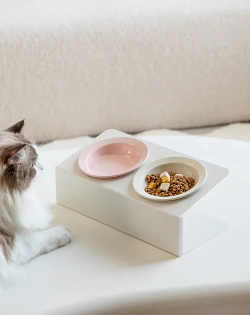 Elevated Dual Ceramic Pet Feeder