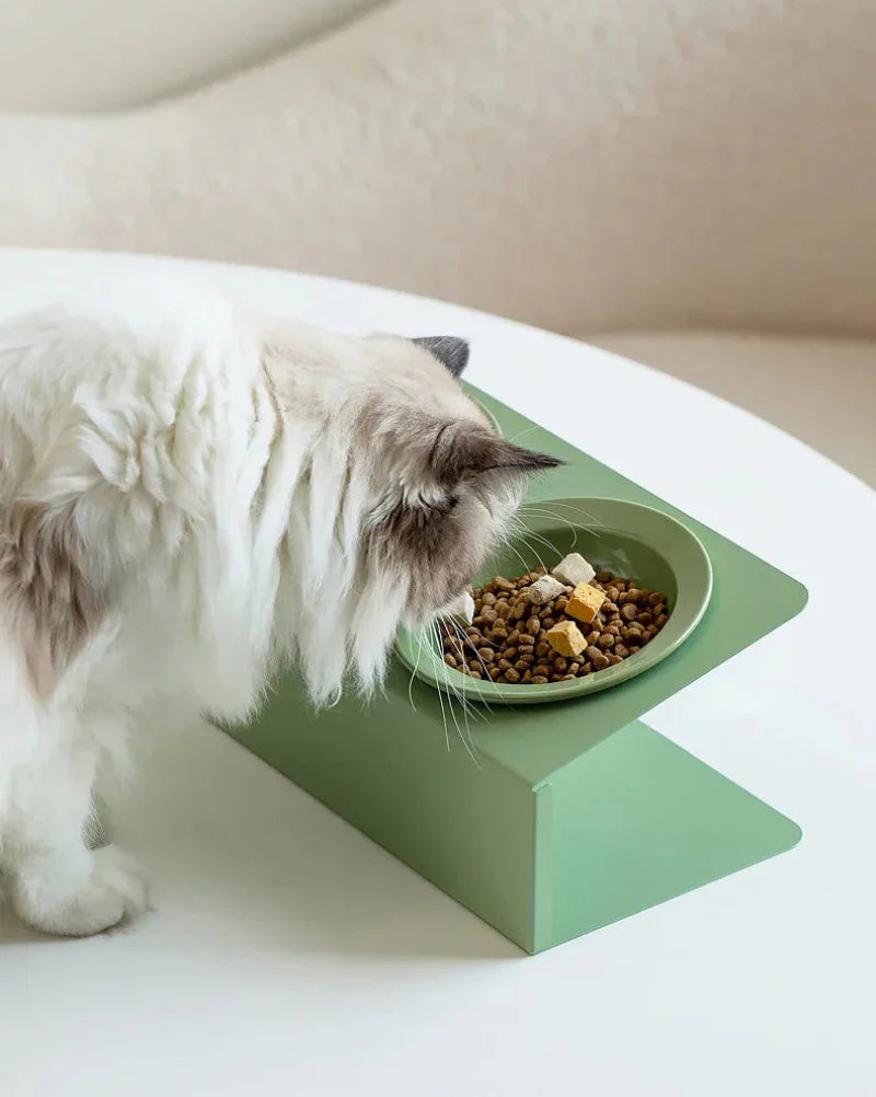 Elevated Dual Ceramic Pet Feeder
