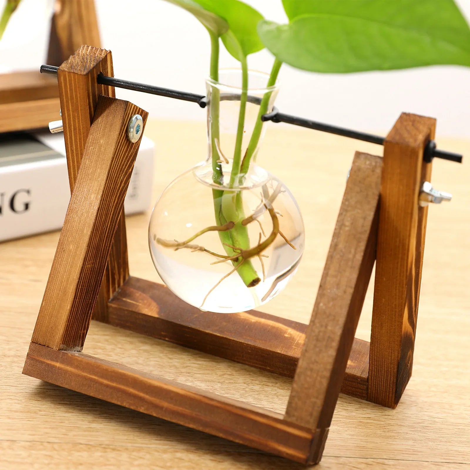 Plant Propagating Stand Single Vase