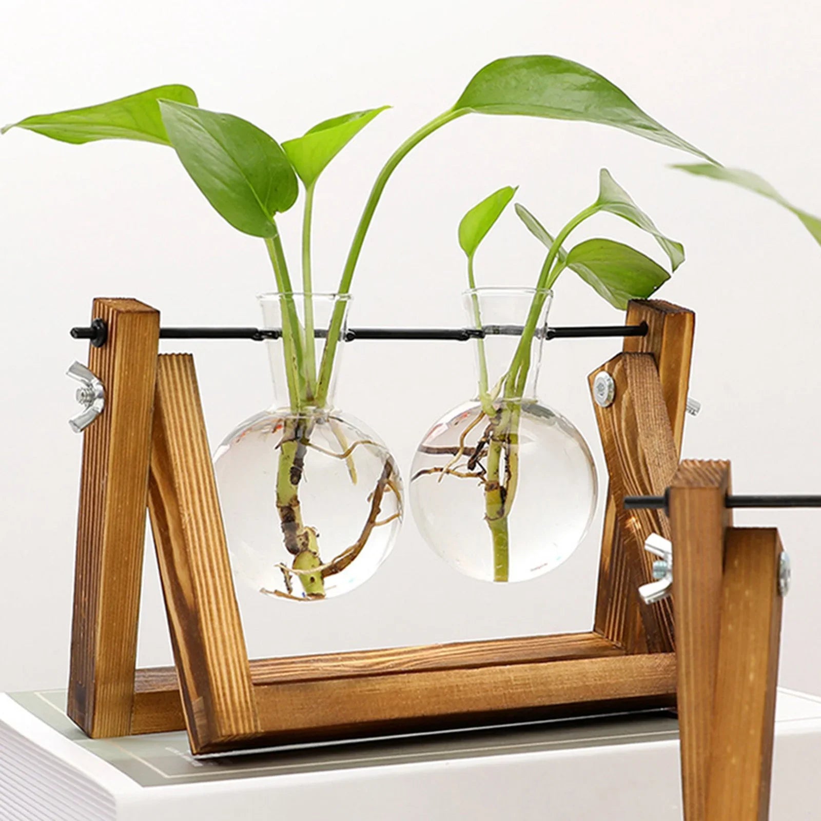 Plant Propagating Stand Double Vase
