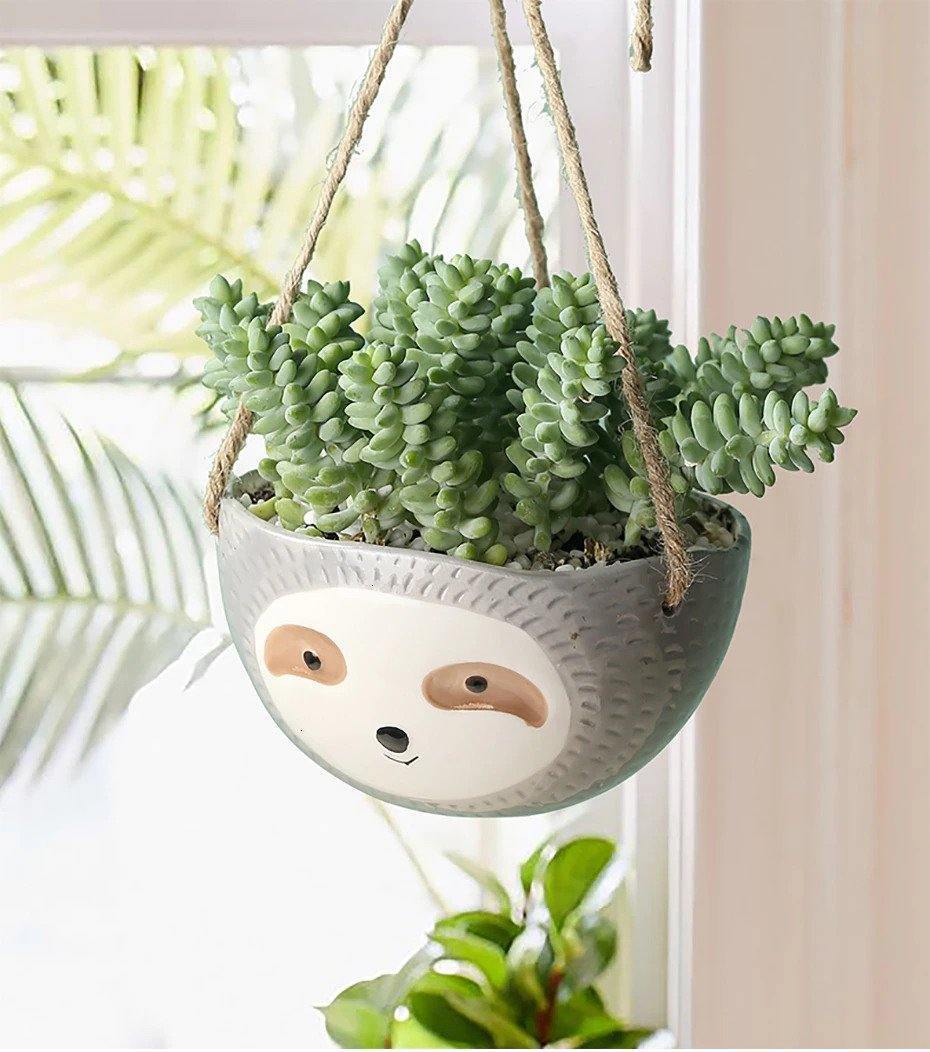 Lazy Ceramic Hanging Succulent Planter LightGrey Dish