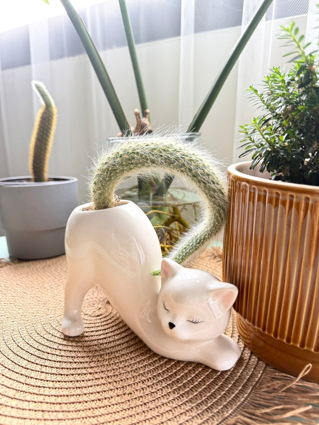 WhiskerBloom™ - Kitty Ceramic Pot
