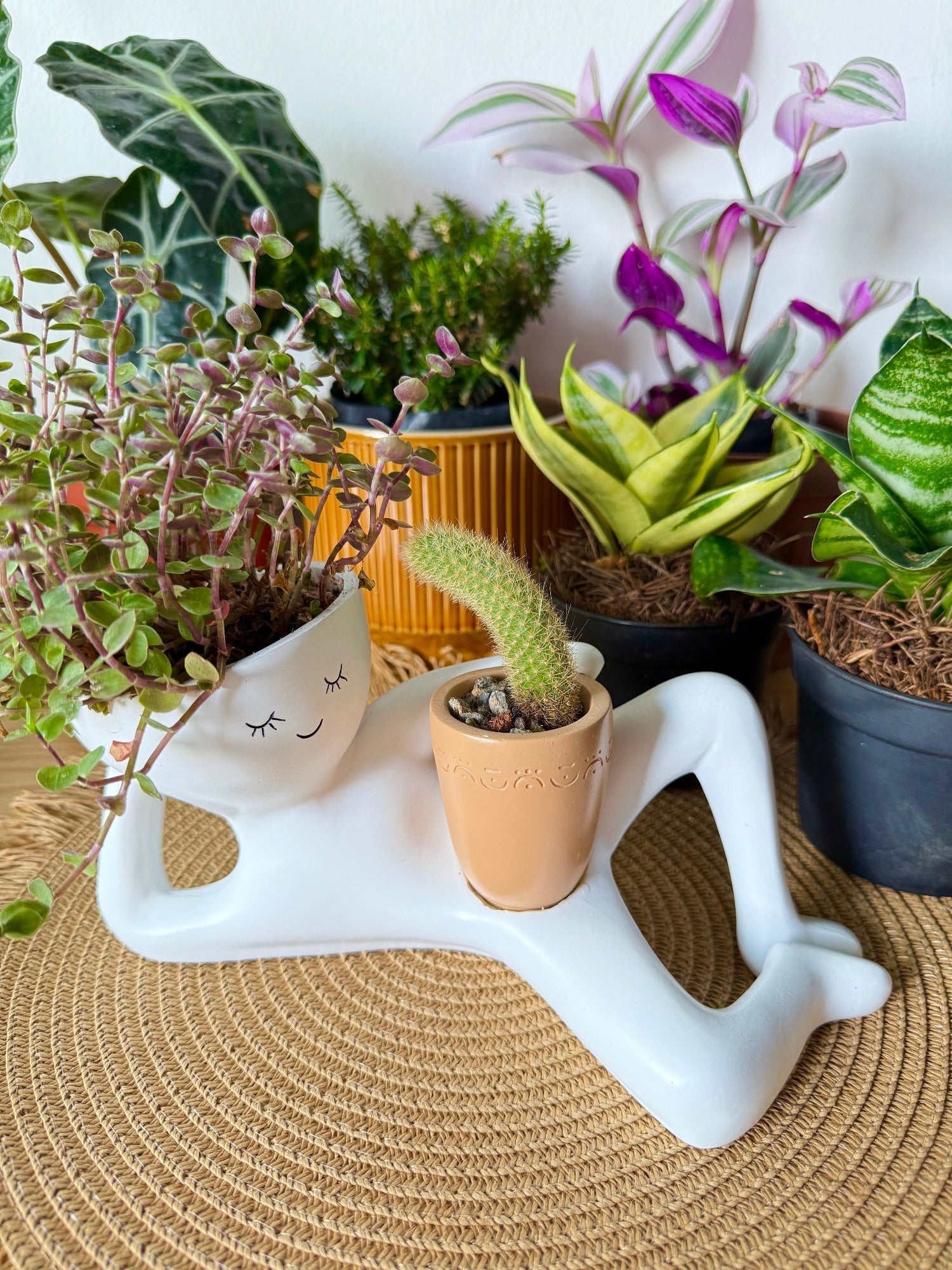 Lazy Larry™ – The Chill-Out Planter