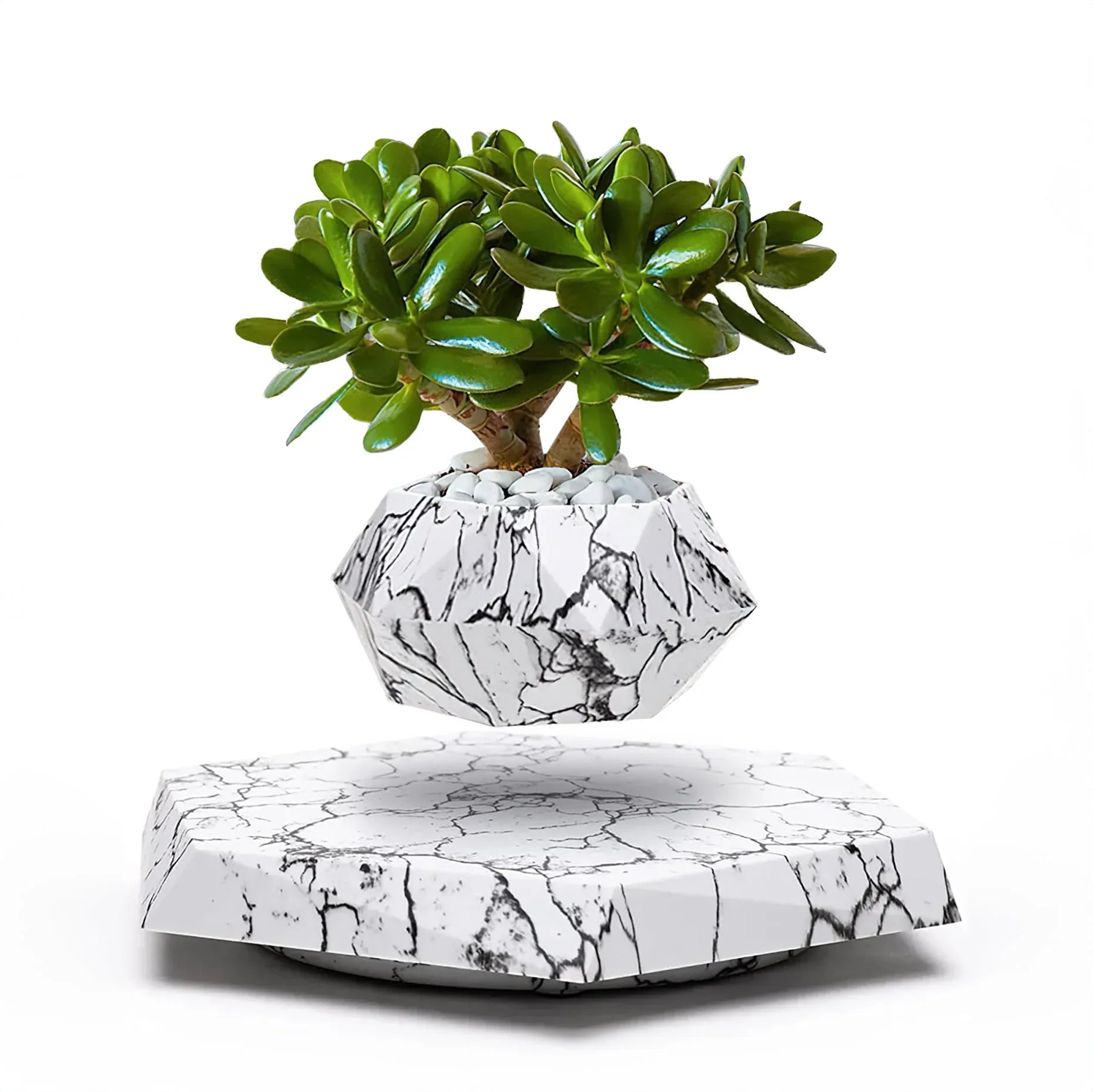 The LeviPlantPot™ Marble