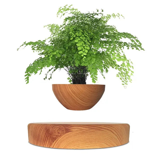 The LeviPlantPot™ Round Wood