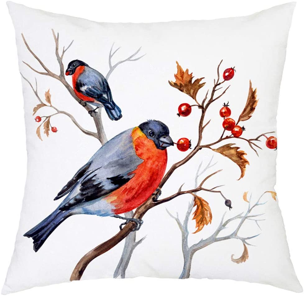 Feathered Friends Cushion Covers Lovebirds