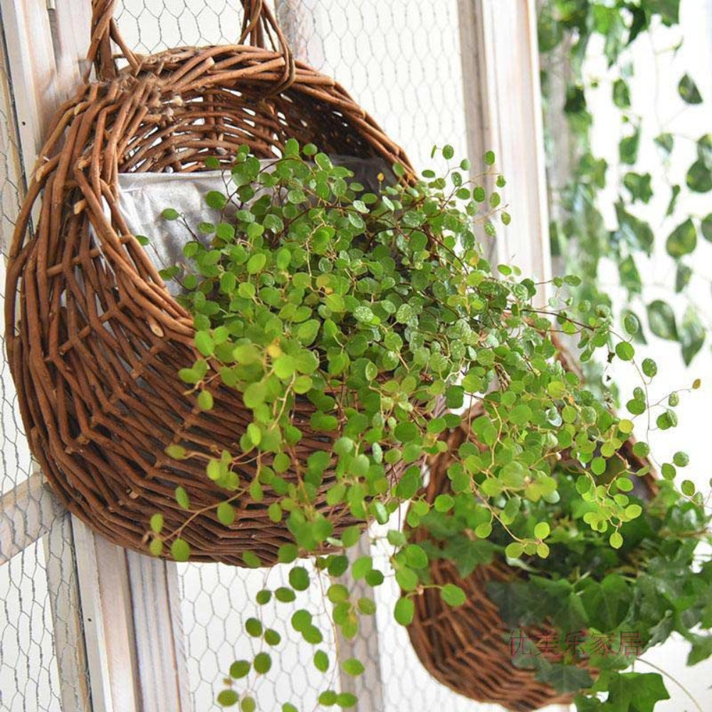 Maison Handwoven Hanging Basket Chestnut Basket