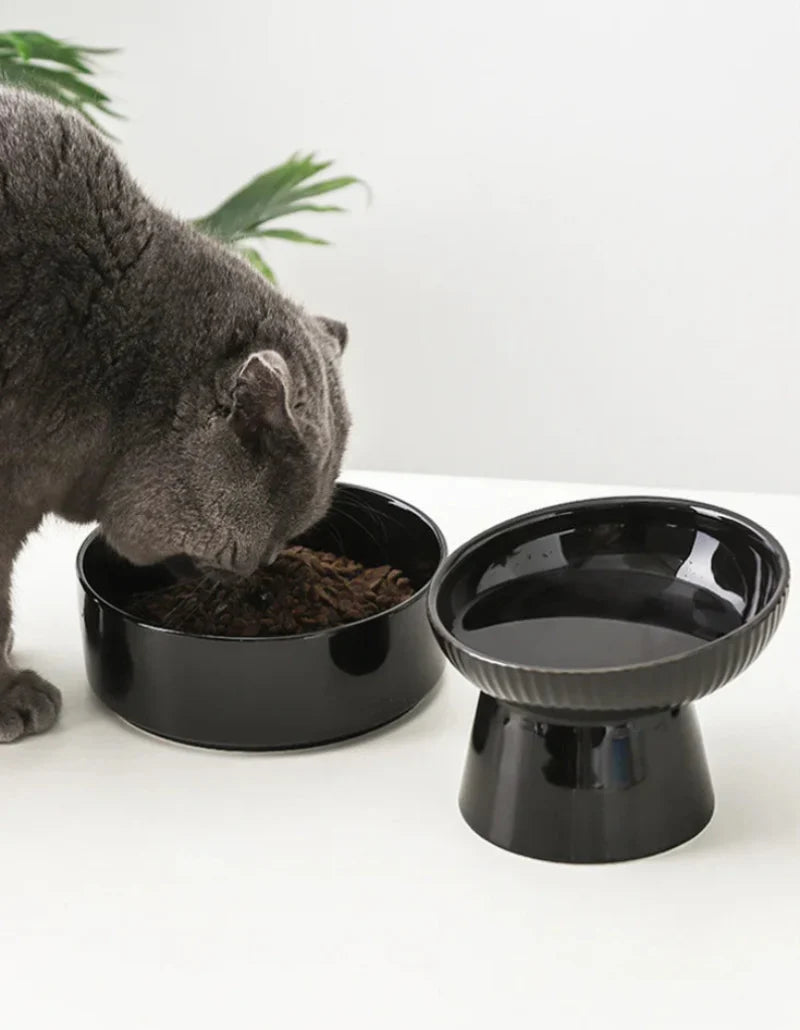 Midnight Paws Ceramic Pet Feeding Bowl