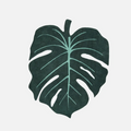Monstera Leaf Luxury Area Rug