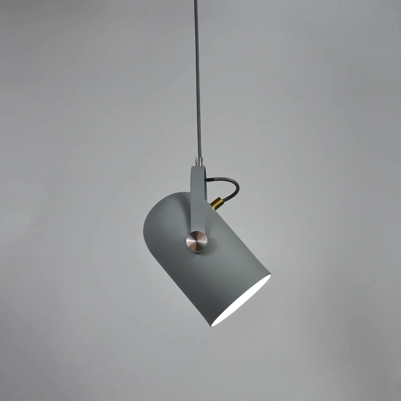 Neato Spotlight Pendant lights