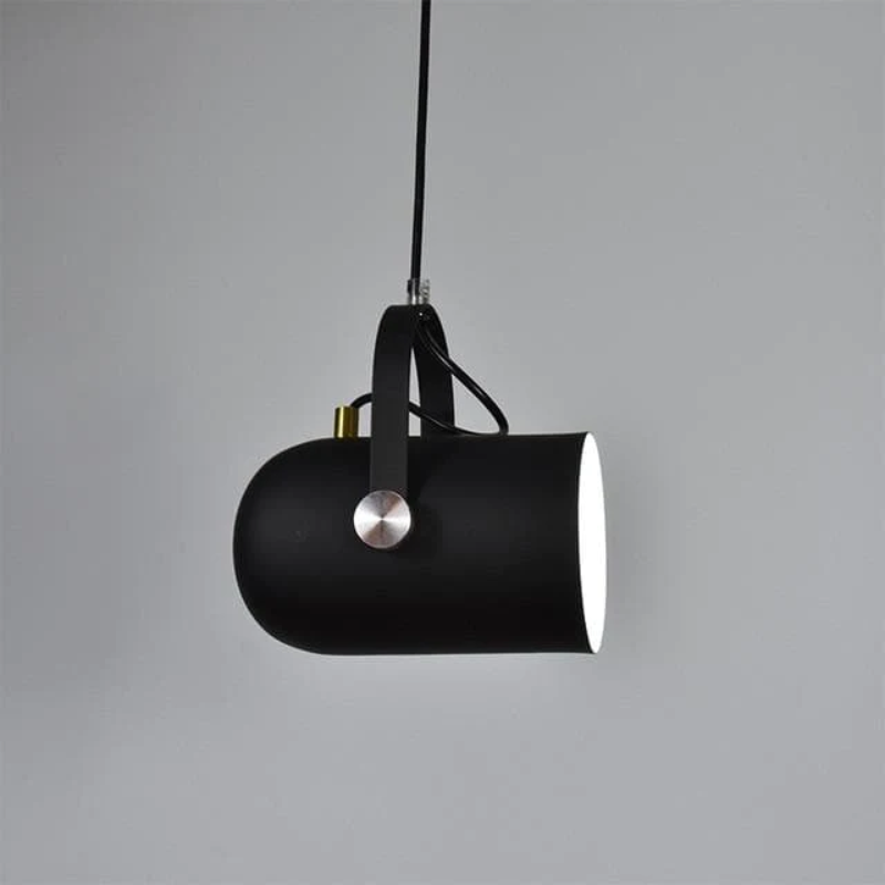 Neato Spotlight Pendant lights