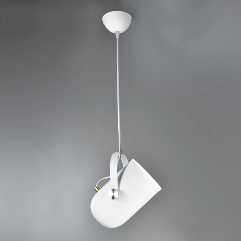 Neato Spotlight Pendant lights
