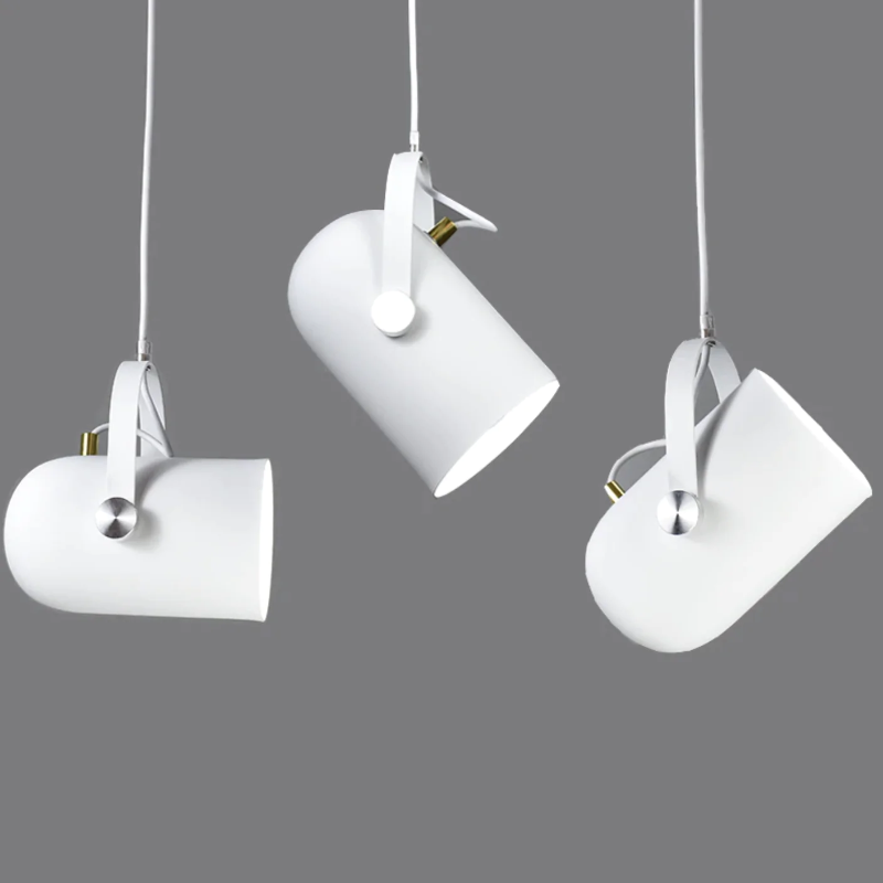 Neato Spotlight Pendant lights