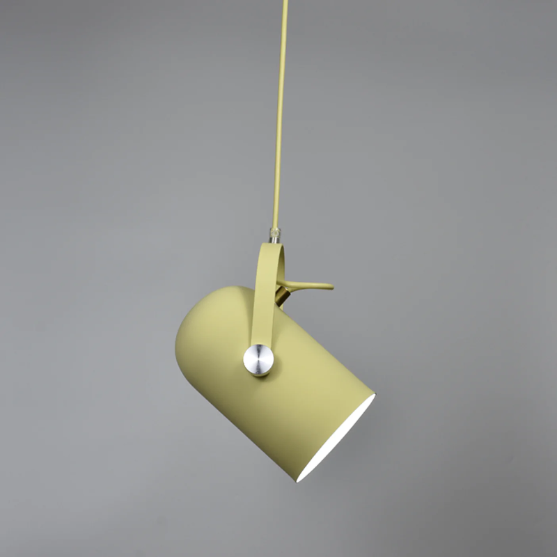 Neato Spotlight Pendant lights
