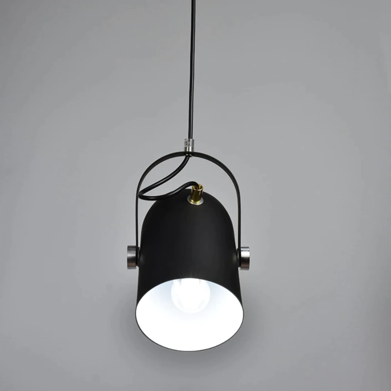Neato Spotlight Pendant lights