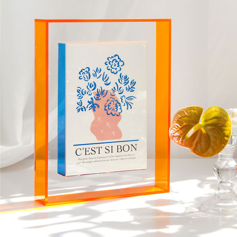 Neon Dreams Chameleon Picture Frame Orange