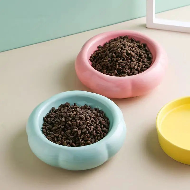 Paws & Sip Ceramic Pet Bowl