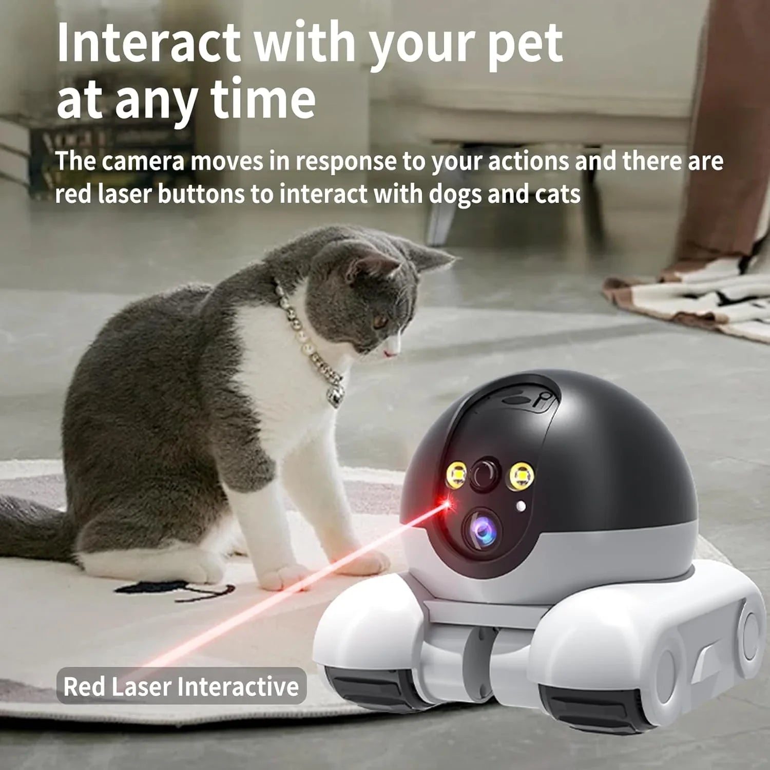 Peepo Bot™ - AI Robot Companion
