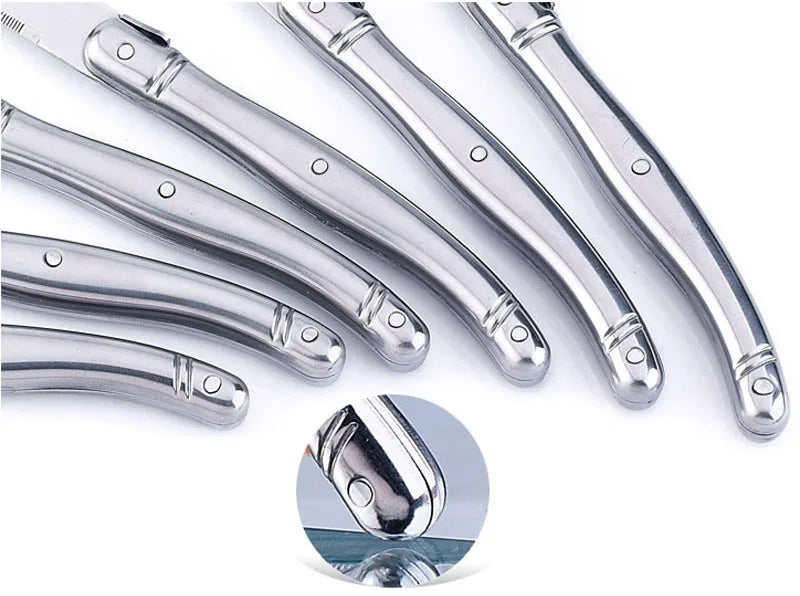 Regent Laguiole Stainless Steel Flatware Set