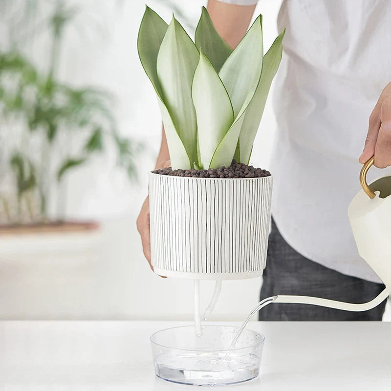 Evergreen Flow Self-Watering Planter