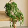 Faux Succulent Ivy