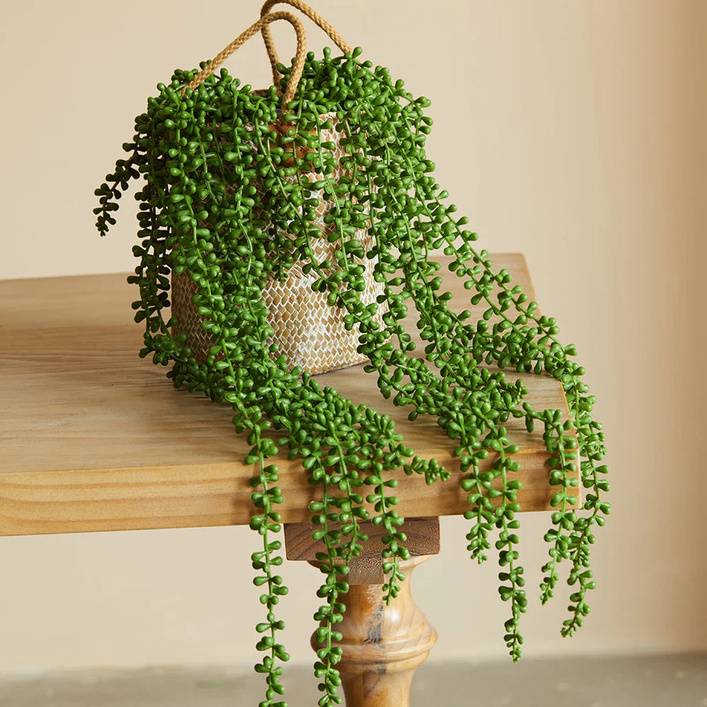 Faux Succulent Ivy