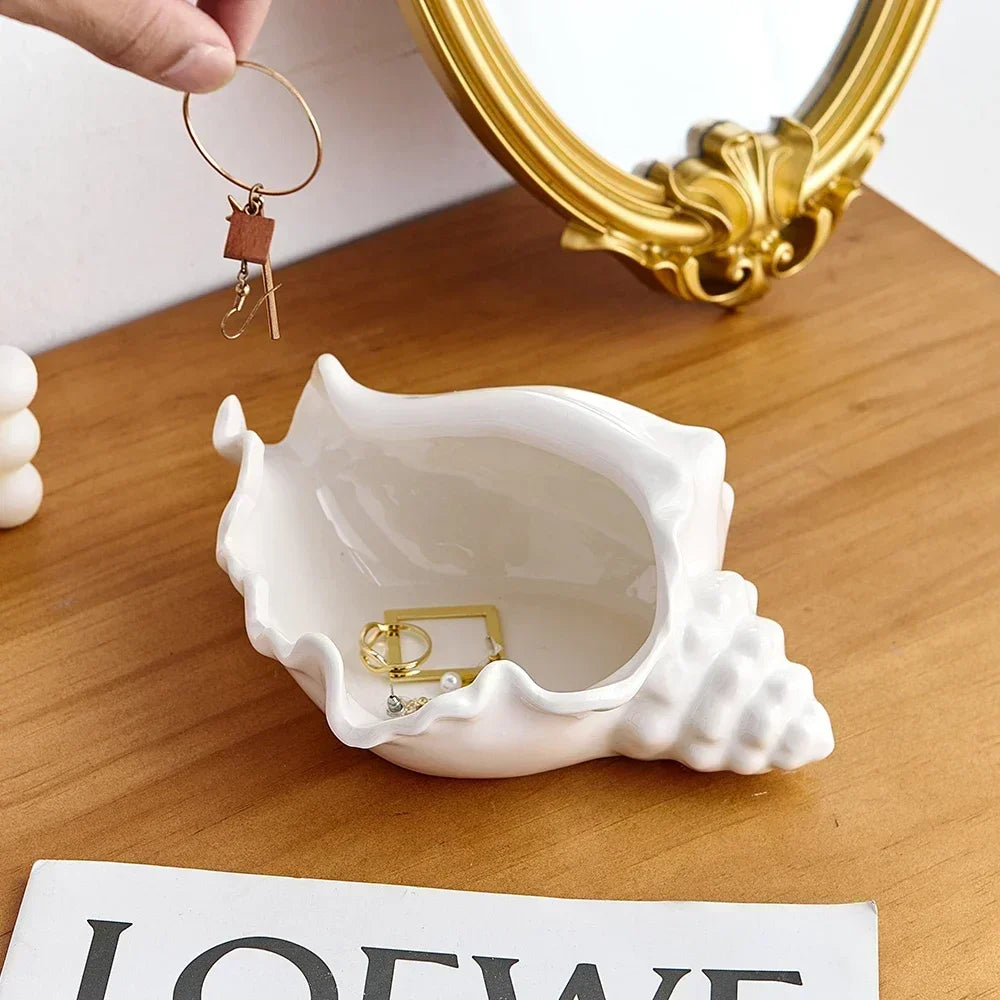 Conch Shell Storage