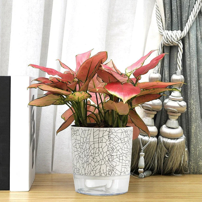 Evergreen Flow Self-Watering Planter