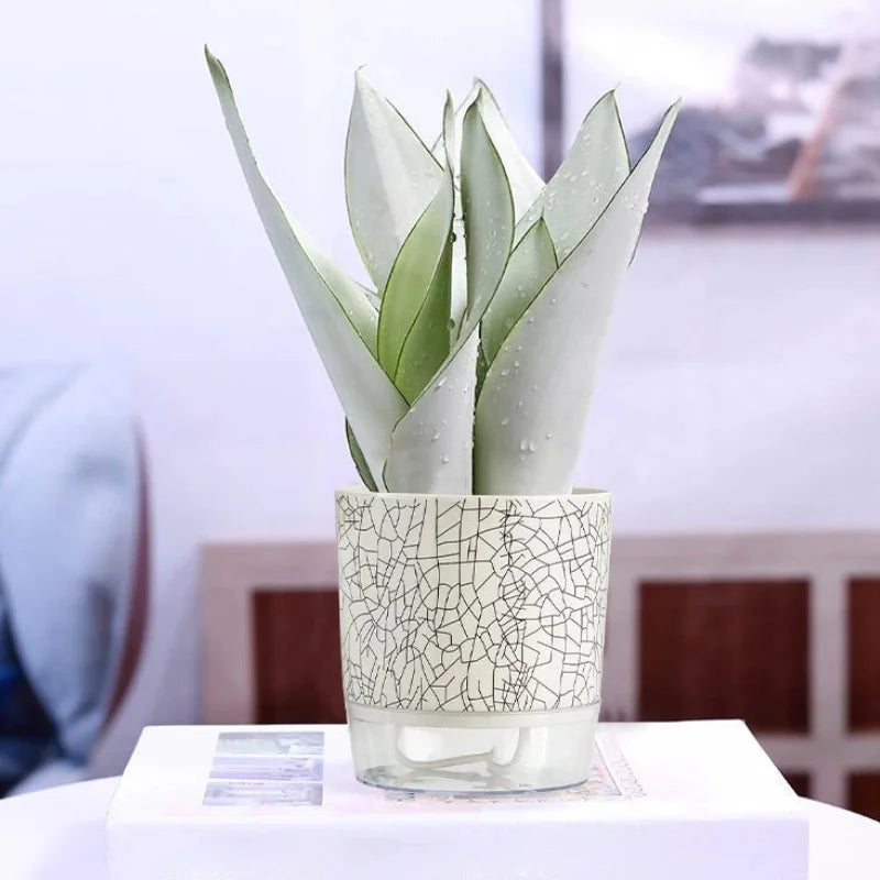 Evergreen Flow Self-Watering Planter