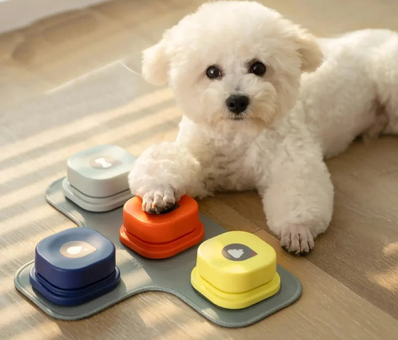Pet Speak Training Buttons Set 4-Button Set
