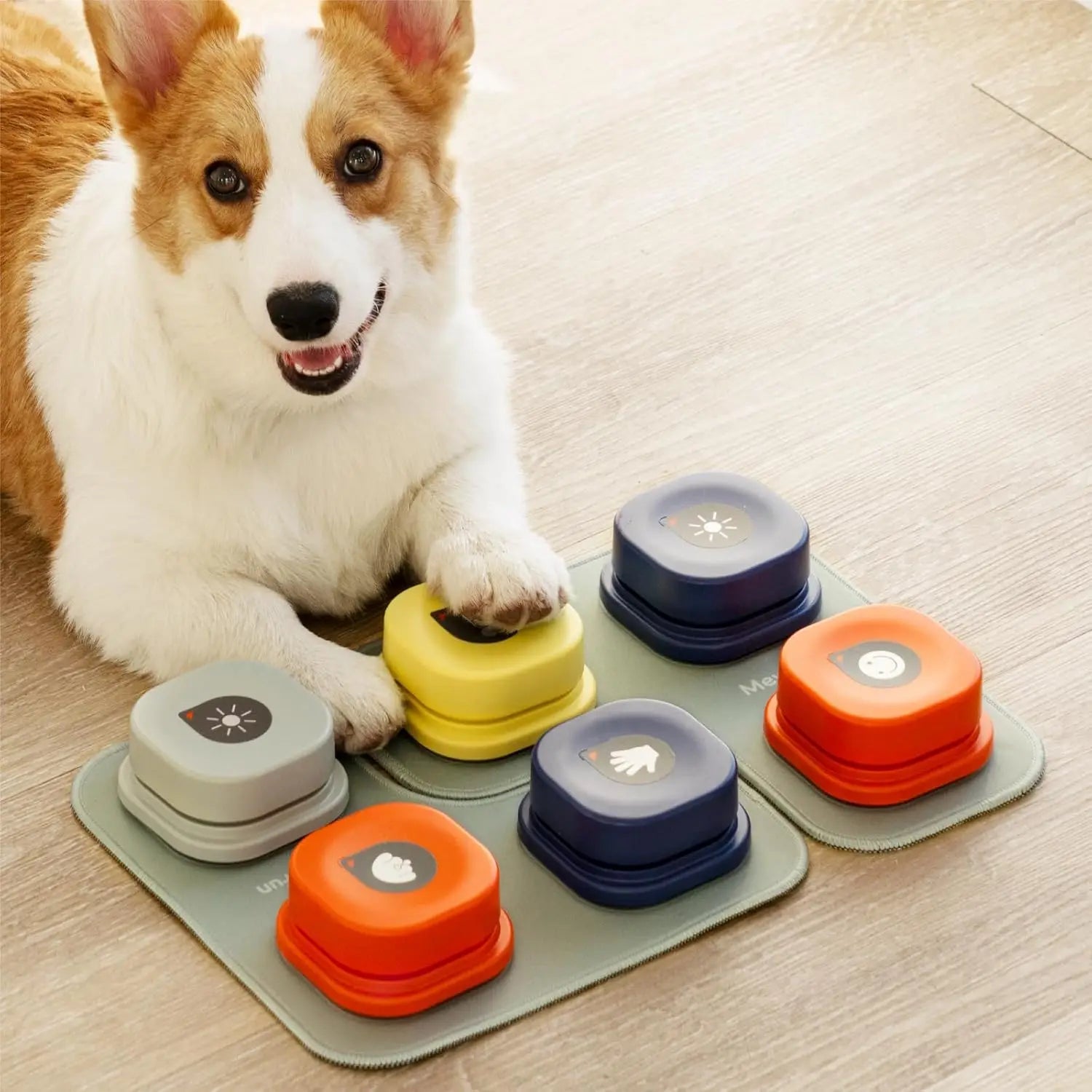 Pet Speak Training Buttons Set 6-Button Set