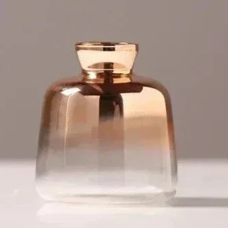 Gradient Vases L