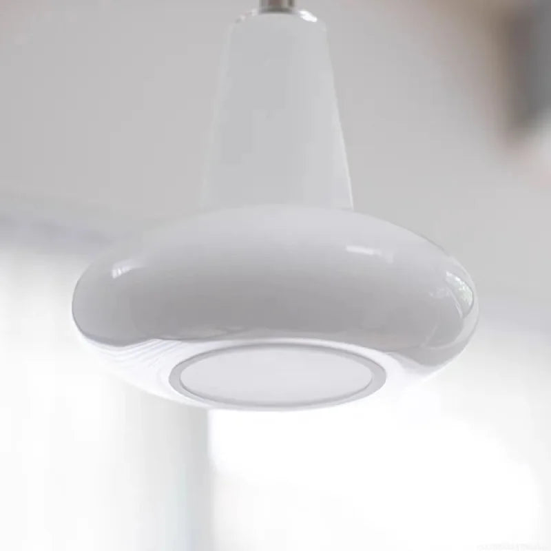Ova Pendant Lamp
