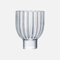 Echo Ridge Glass Cup
