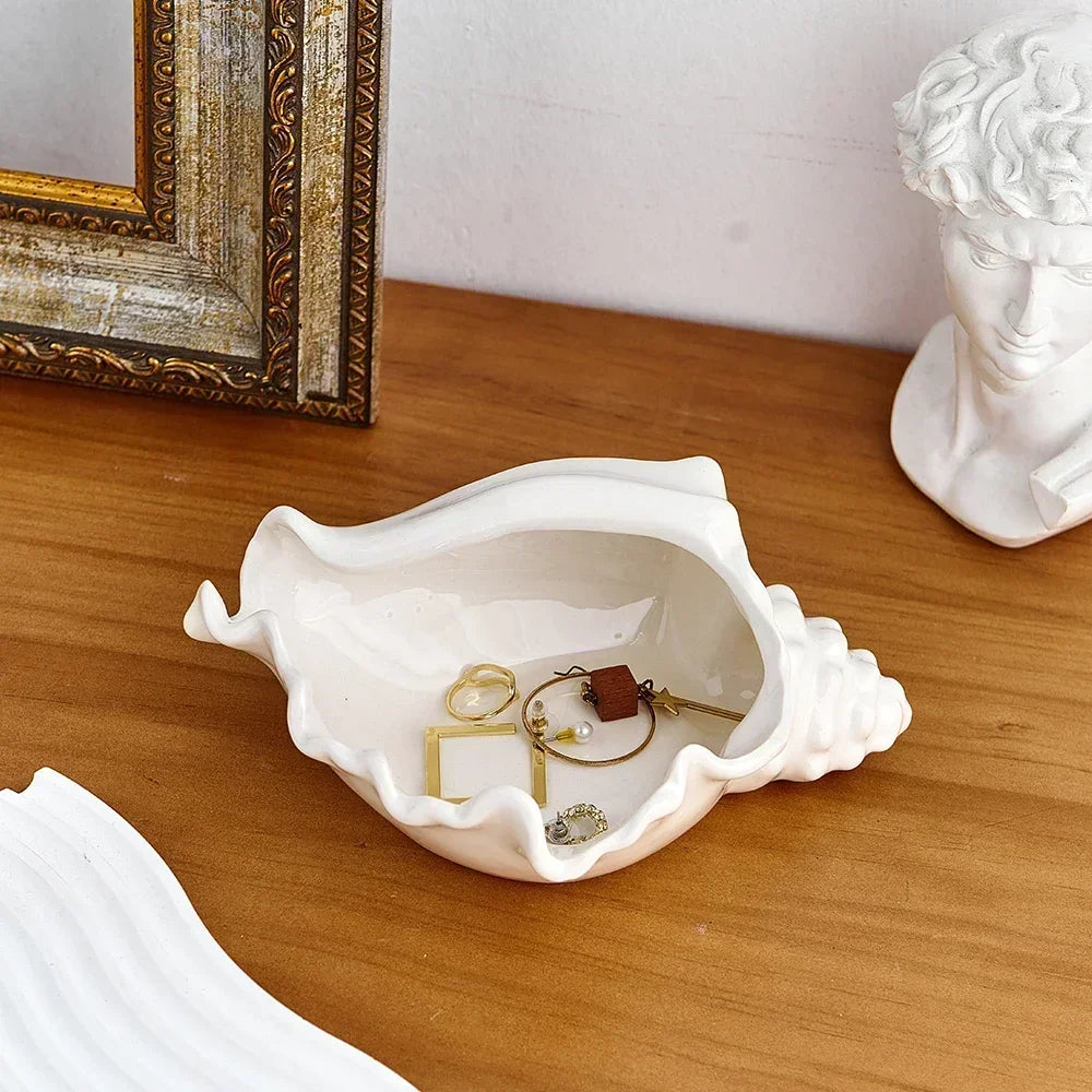 Conch Shell Storage