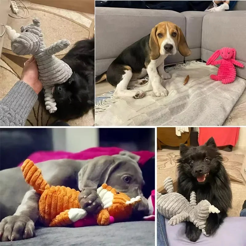 Plush Squeaky Rabbit Dog Toy – Soft Chew Toy for Small & Medium Dogs