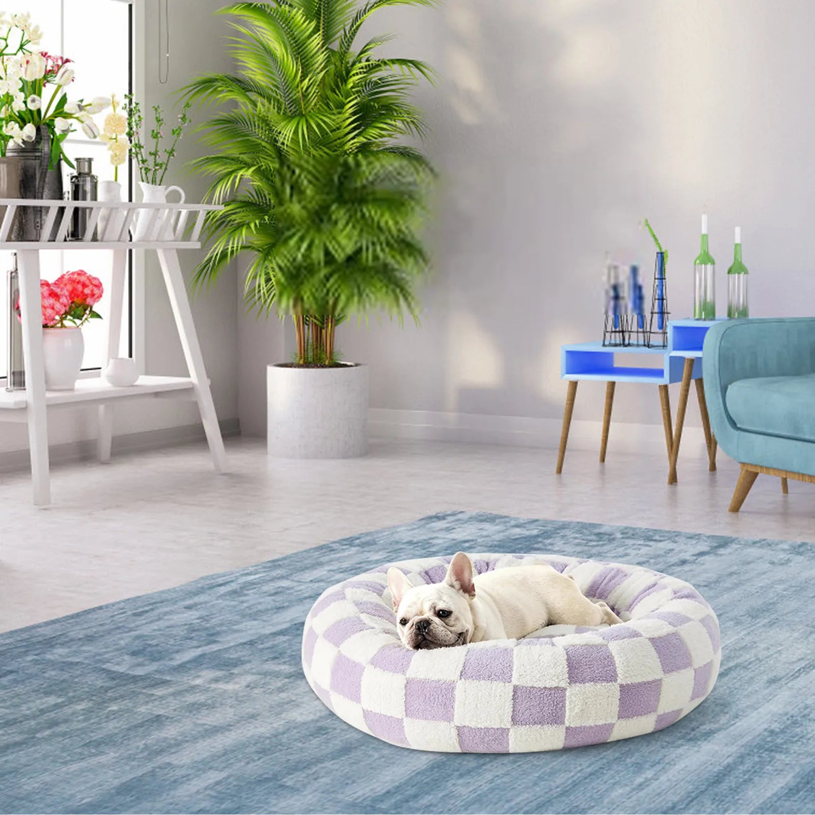 Donut Haven Pet Bed