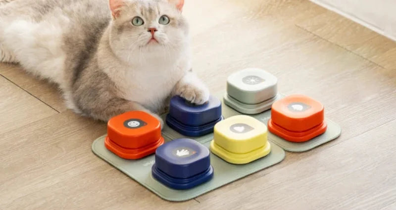 Pet Speak Training Buttons Set