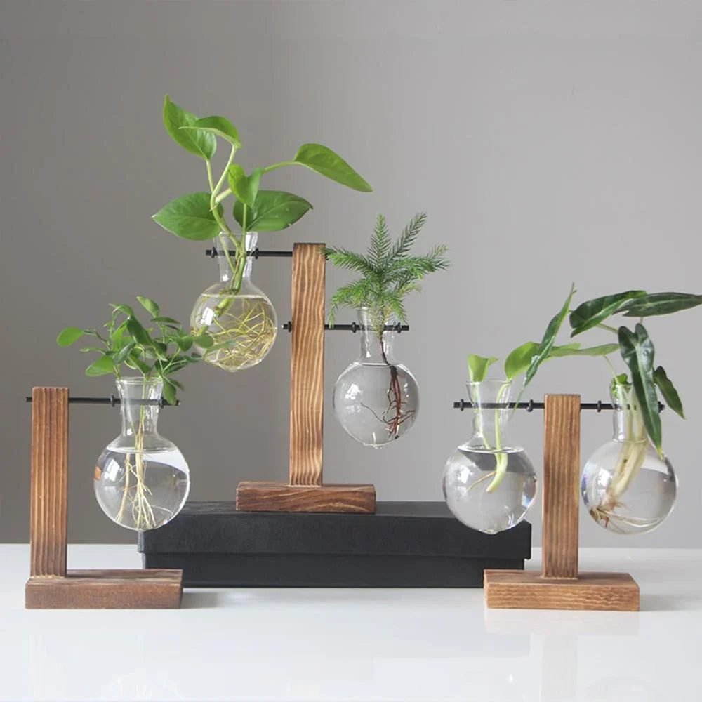 Glass Vase