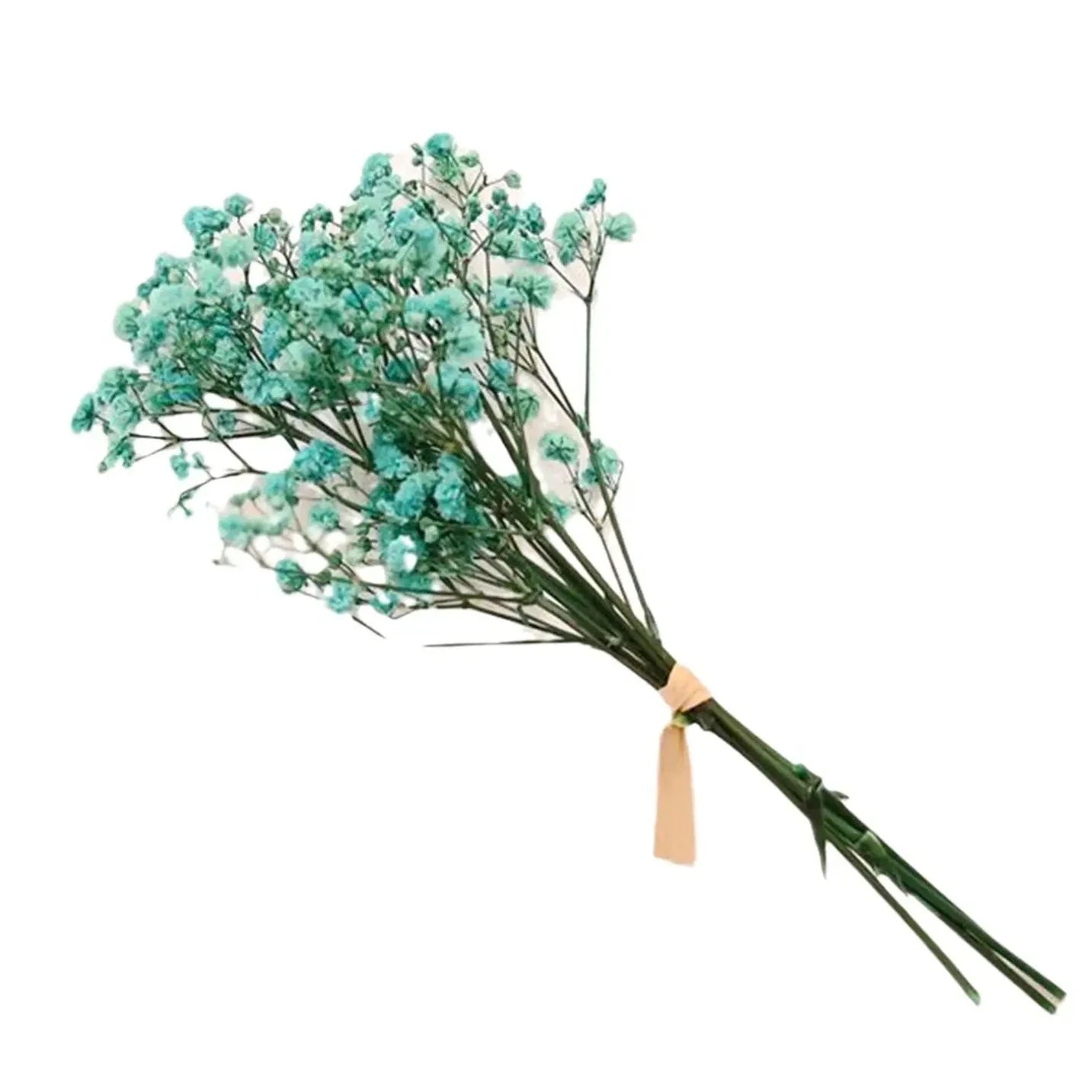 Natural Dried Baby's Breath Blue