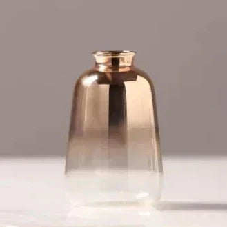 Gradient Vases S