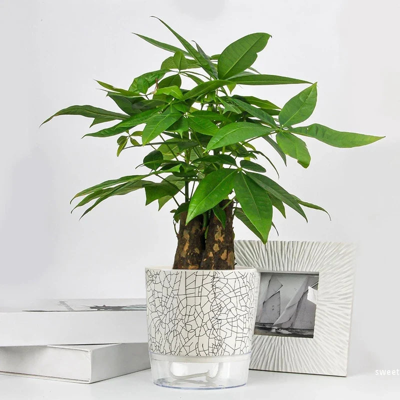 Evergreen Flow Self-Watering Planter