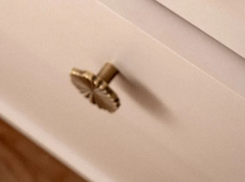 Solenne Fan Cabinet Knobs